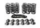 DDR Beehive Spring & Retainer Kit